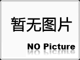 穩定實驗環境！優質實驗室鑄鐵平臺，助理科研創新